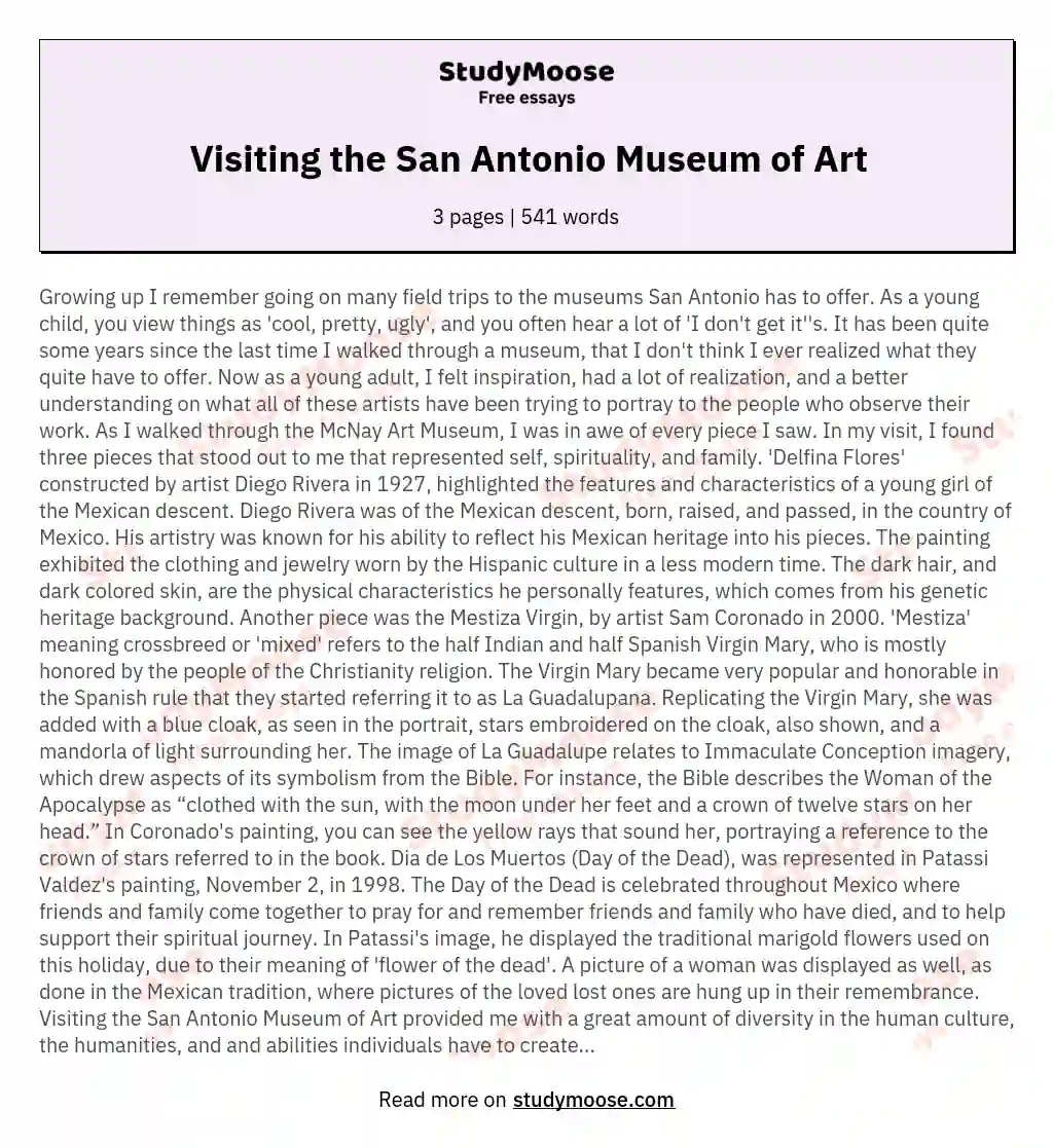 Visiting the San Antonio Museum of Art essay