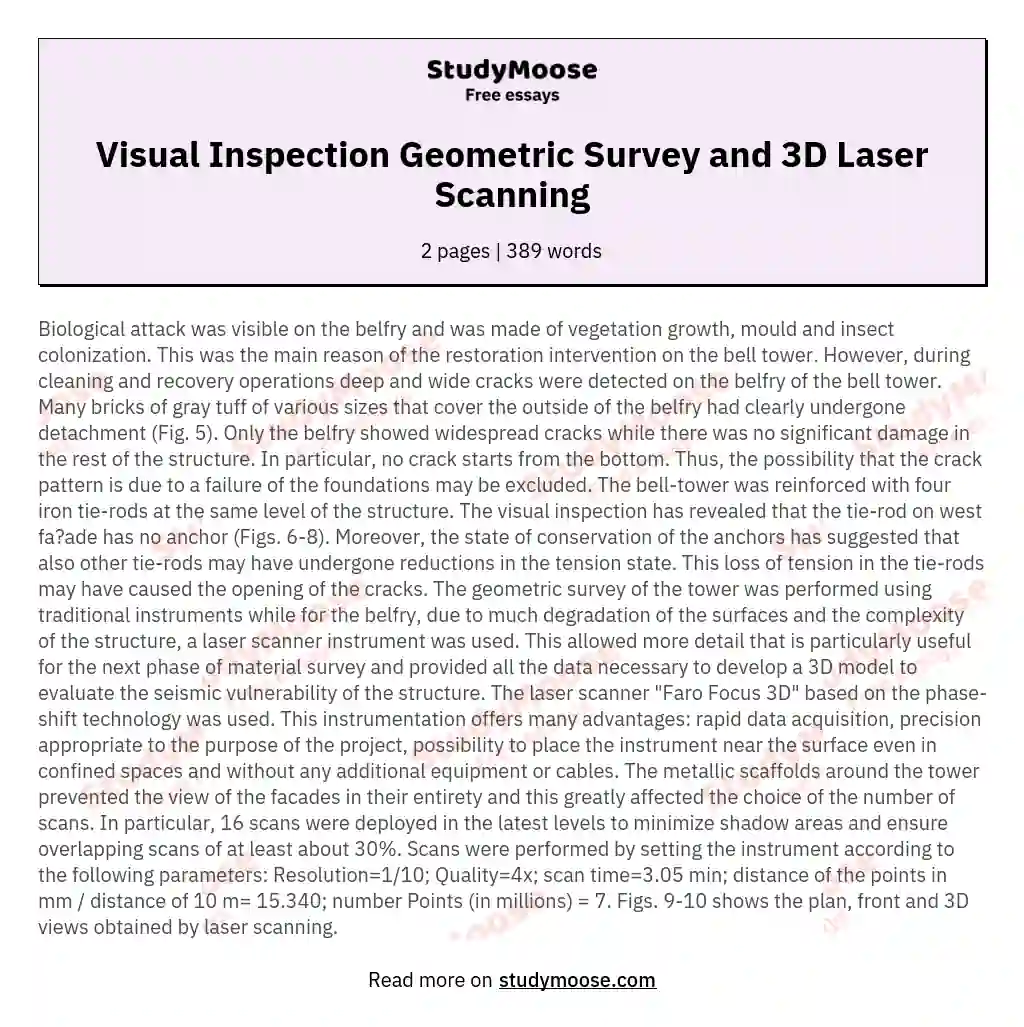 Visual Inspection Geometric Survey and 3D Laser Scanning essay