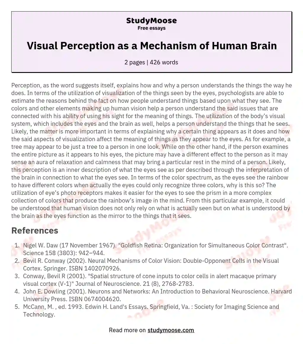 Visual Perception as a Mechanism of Human Brain essay