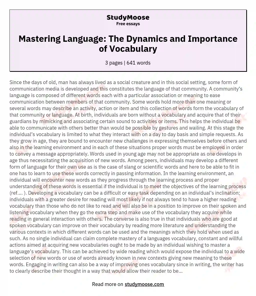 Mastering Language: The Dynamics and Importance of Vocabulary essay