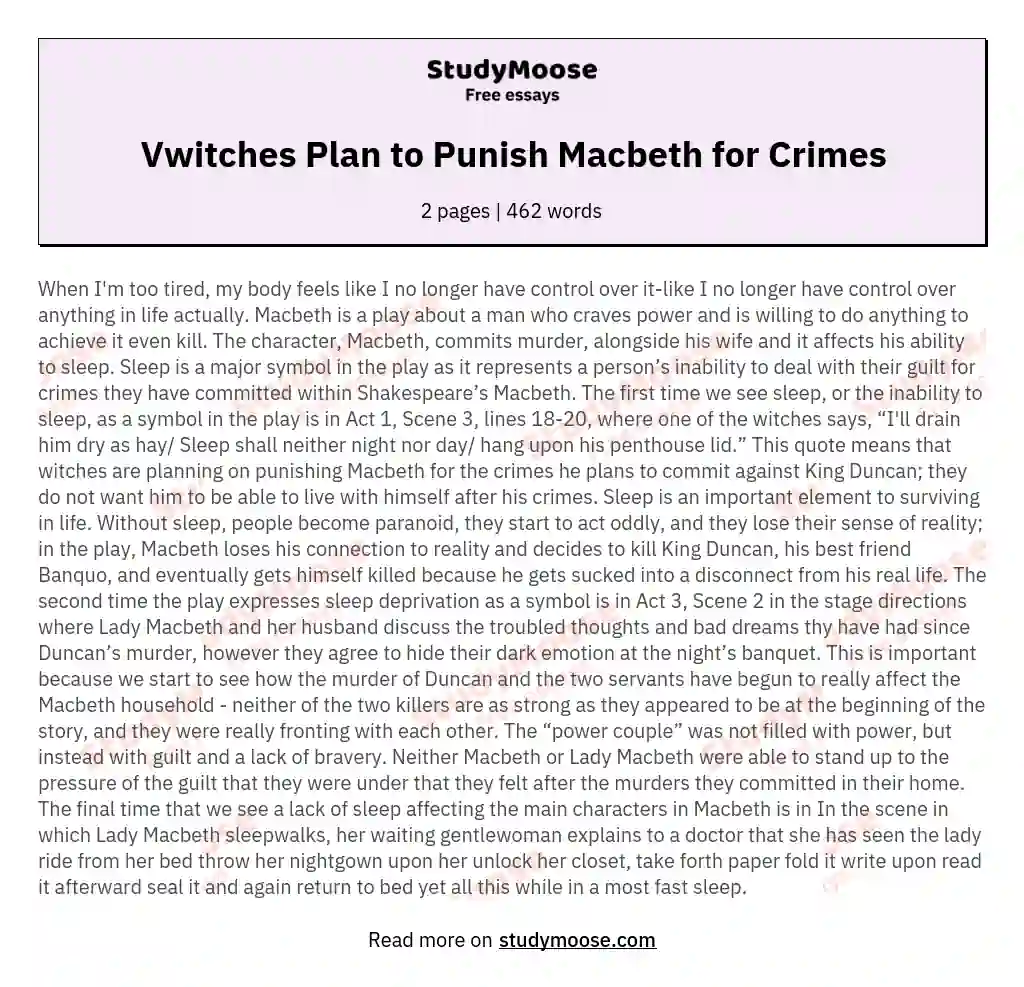 Vwitches Plan to Punish Macbeth for Crimes essay