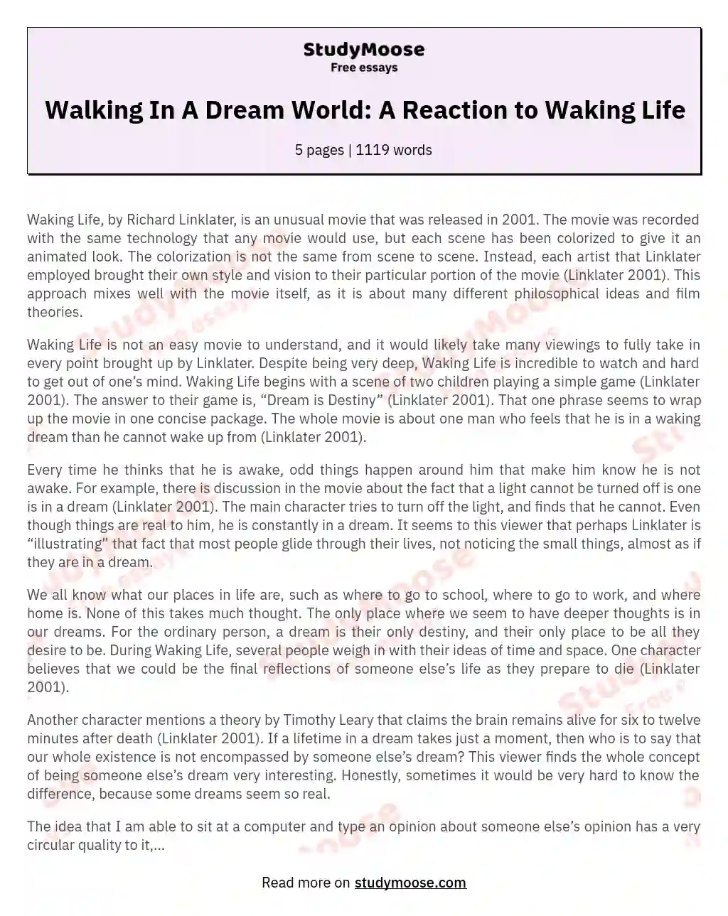 Walking In A Dream World: A Reaction to Waking Life essay