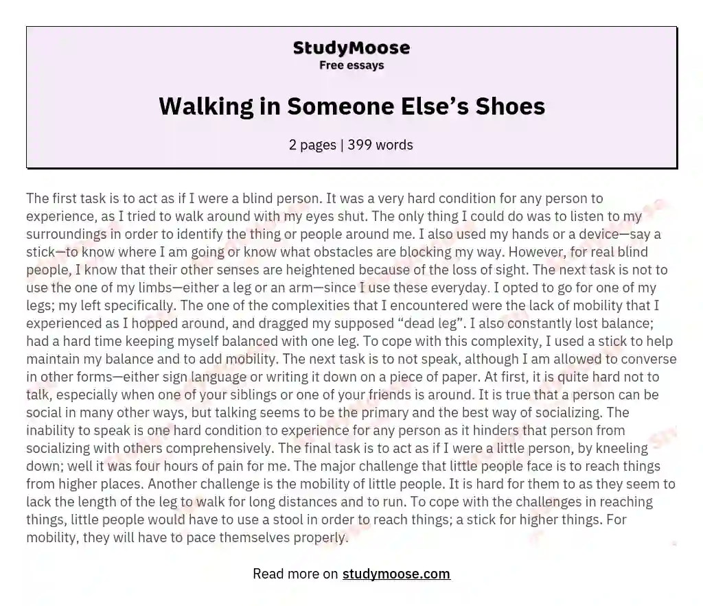 shoe store essay