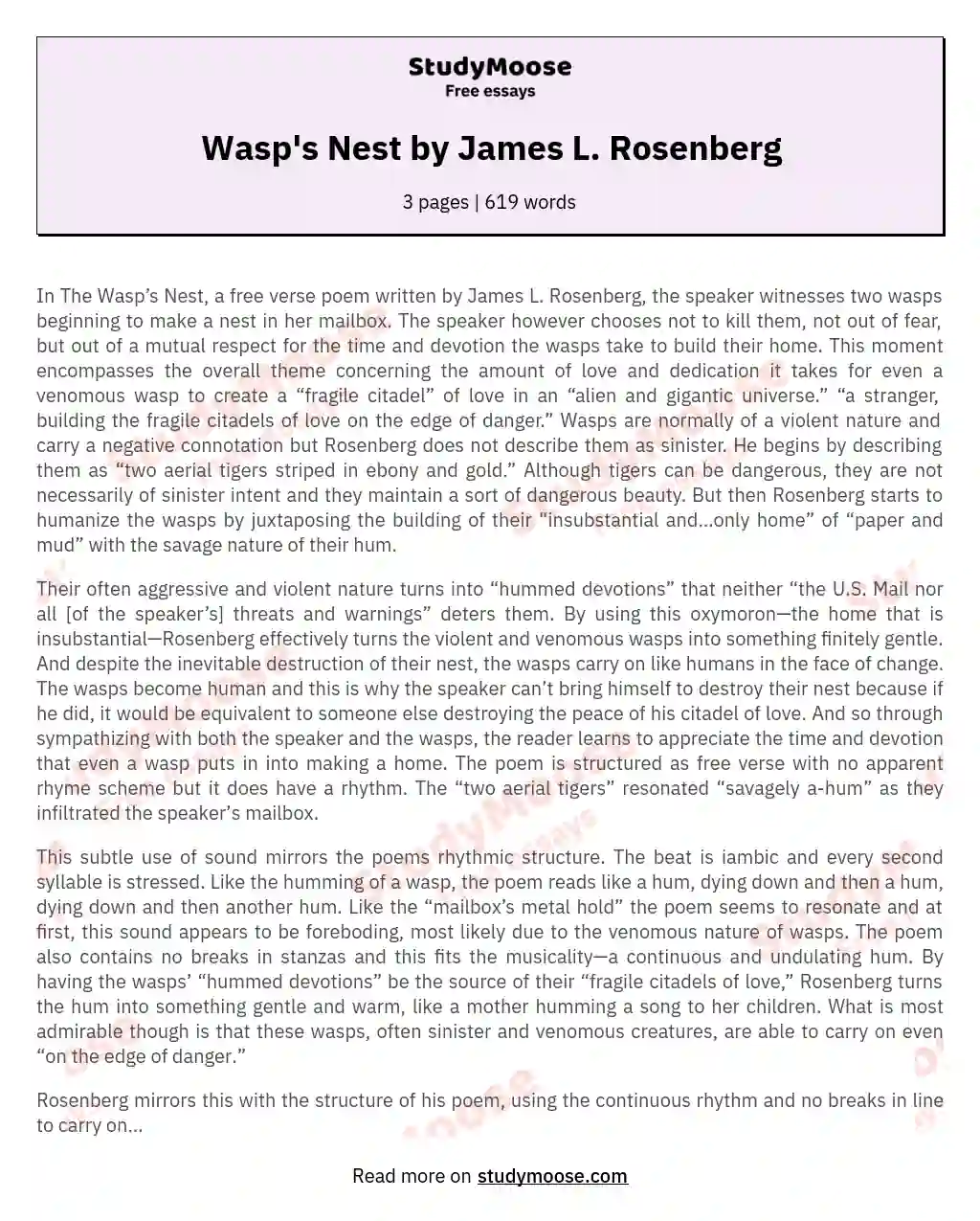 Wasp's Nest by James L. Rosenberg essay