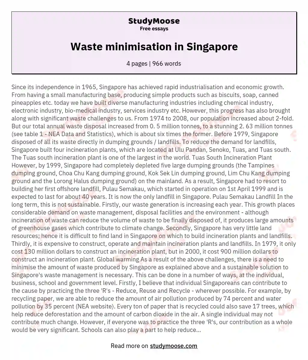 Waste minimisation in Singapore essay