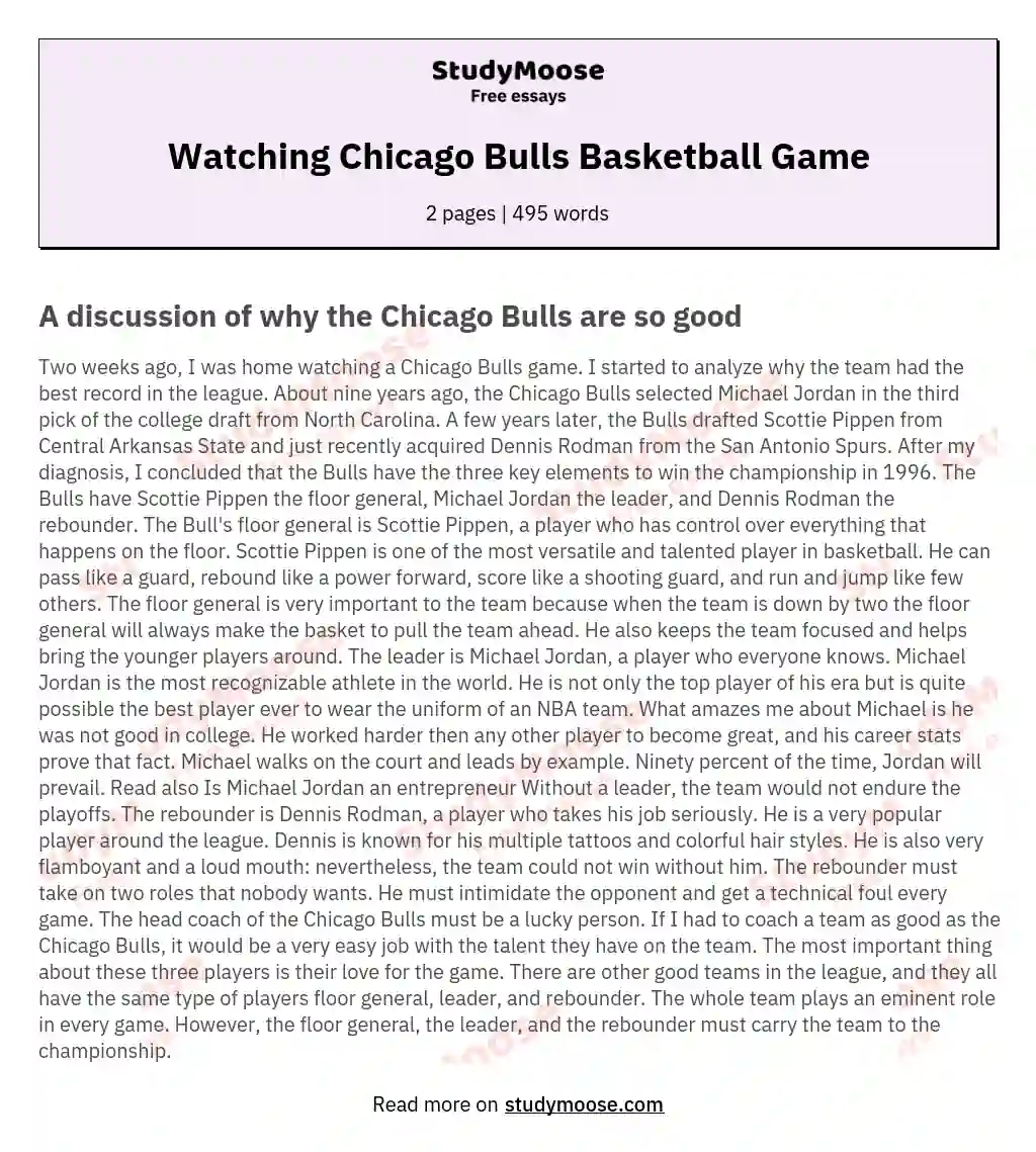 Watching Chicago Bulls Basketball Game