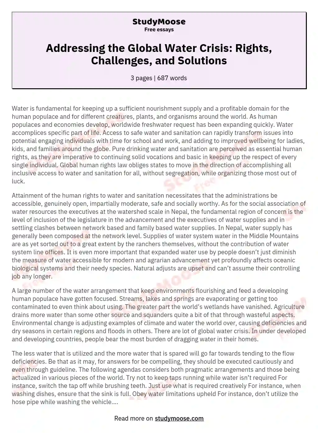 Addressing the Global Water Crisis: Rights, Challenges, and Solutions essay