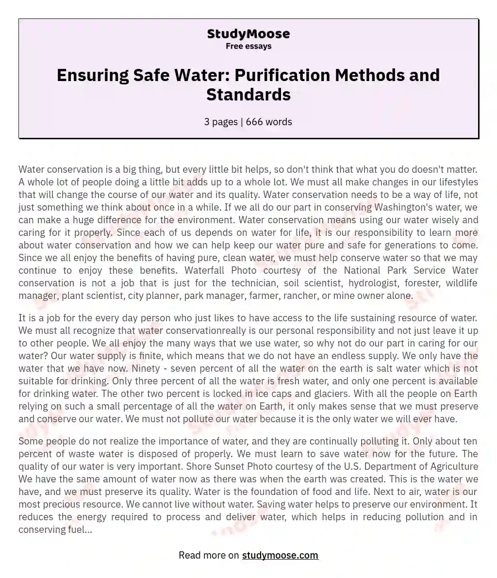 Ensuring Safe Water: Purification Methods and Standards essay