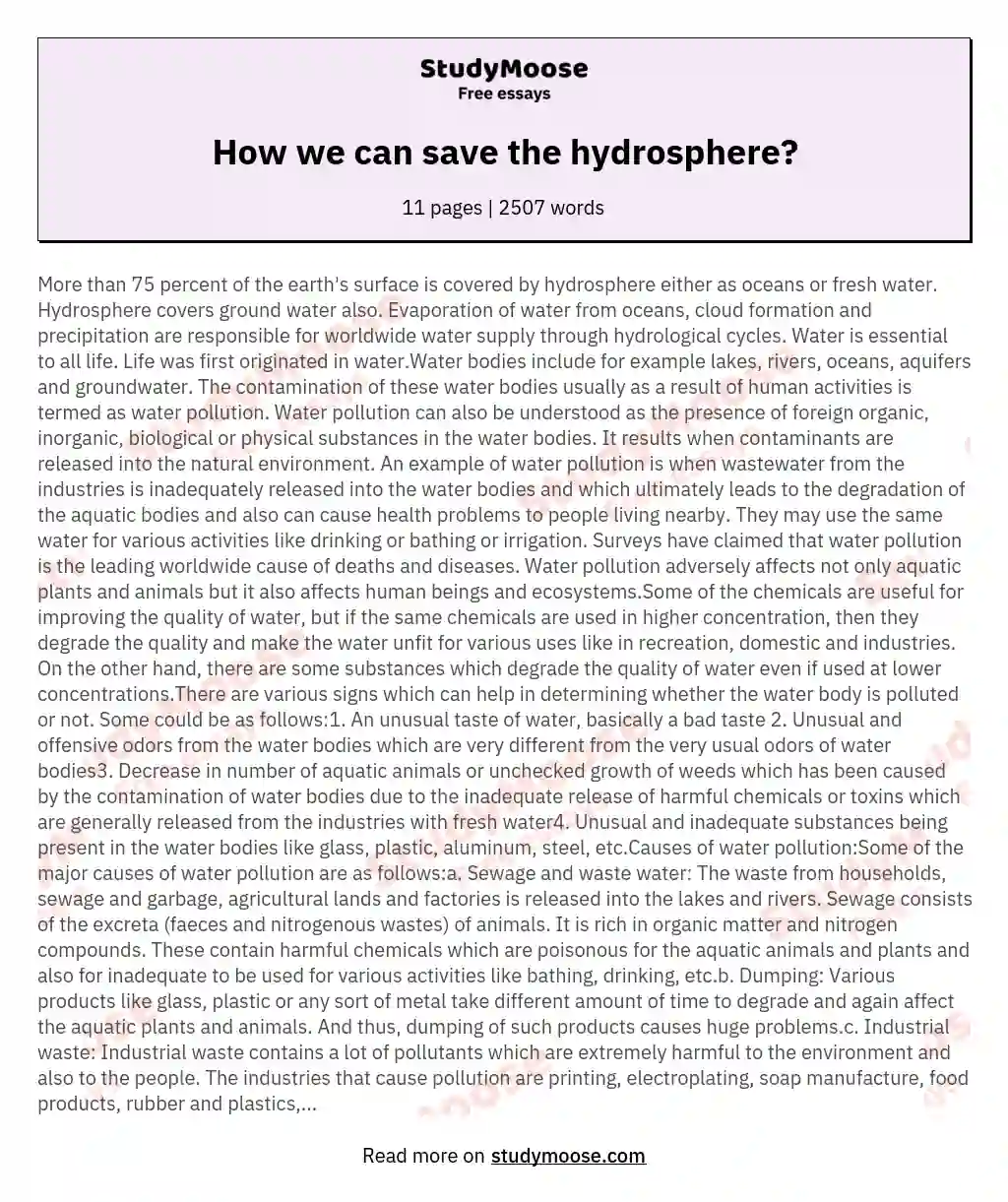 How we can save the hydrosphere? essay