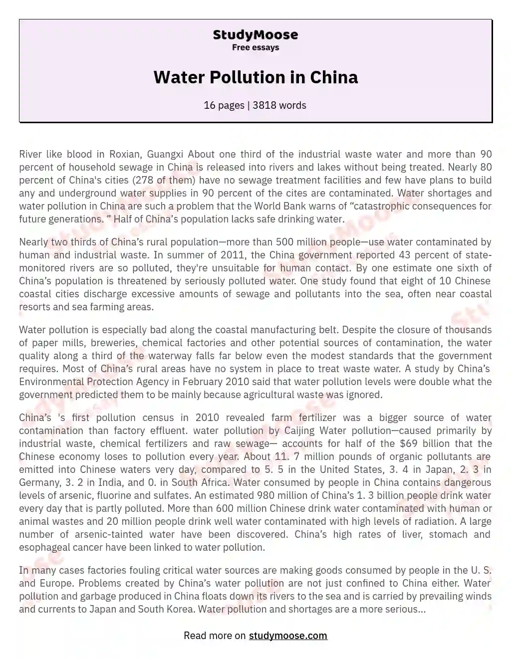Water Pollution in China essay