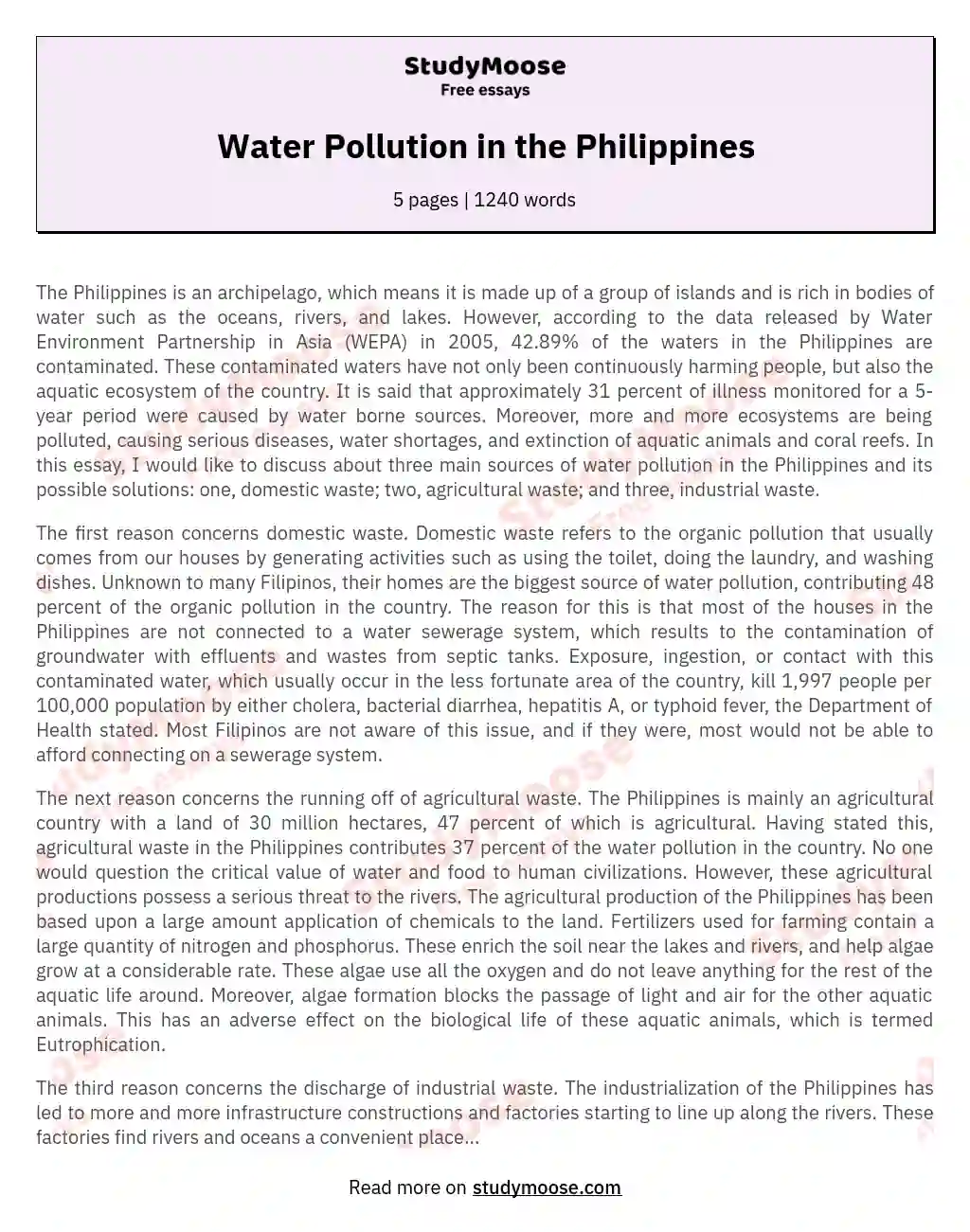essay about water pollution in the philippines