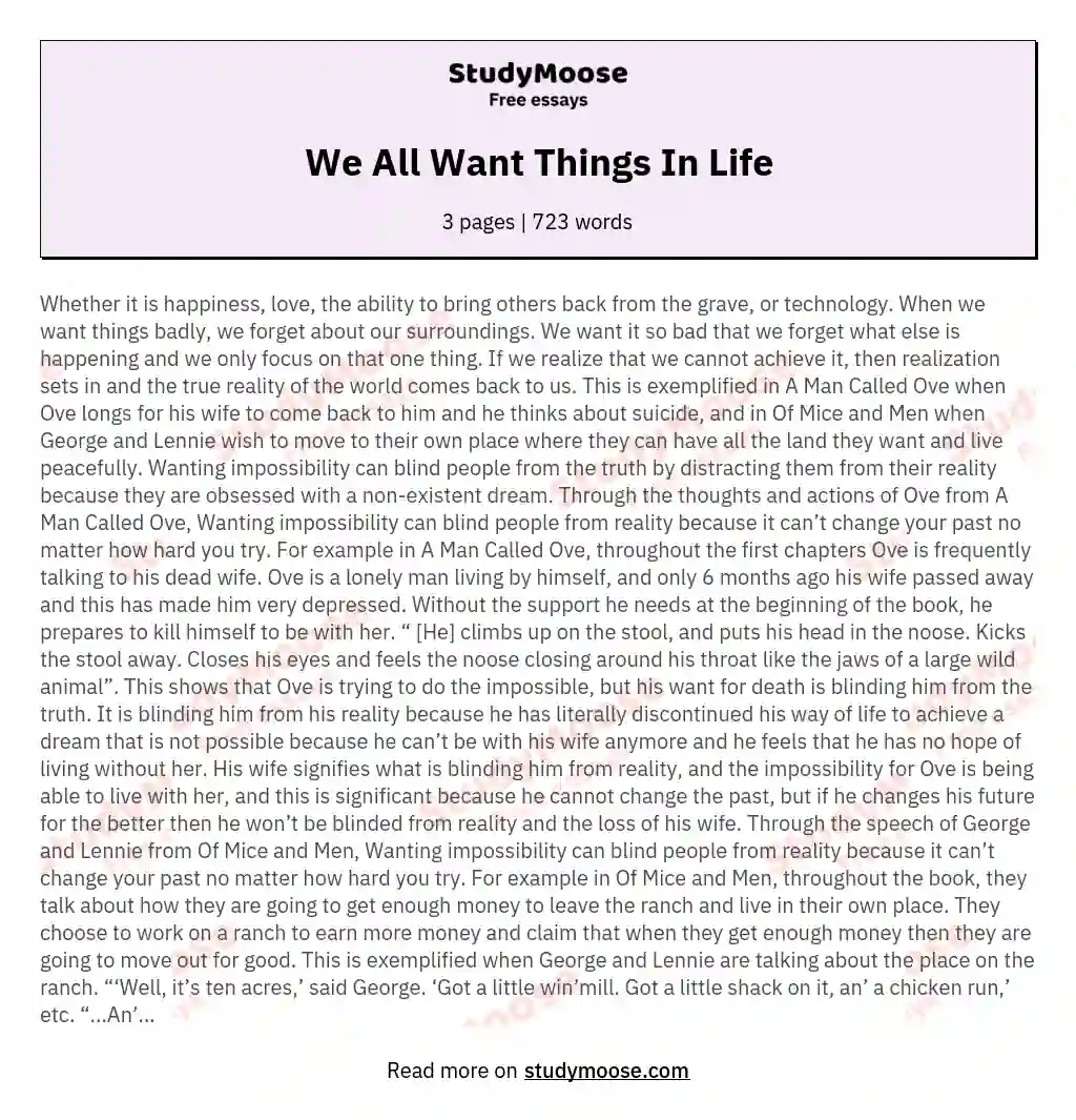 We All Want Things In Life essay