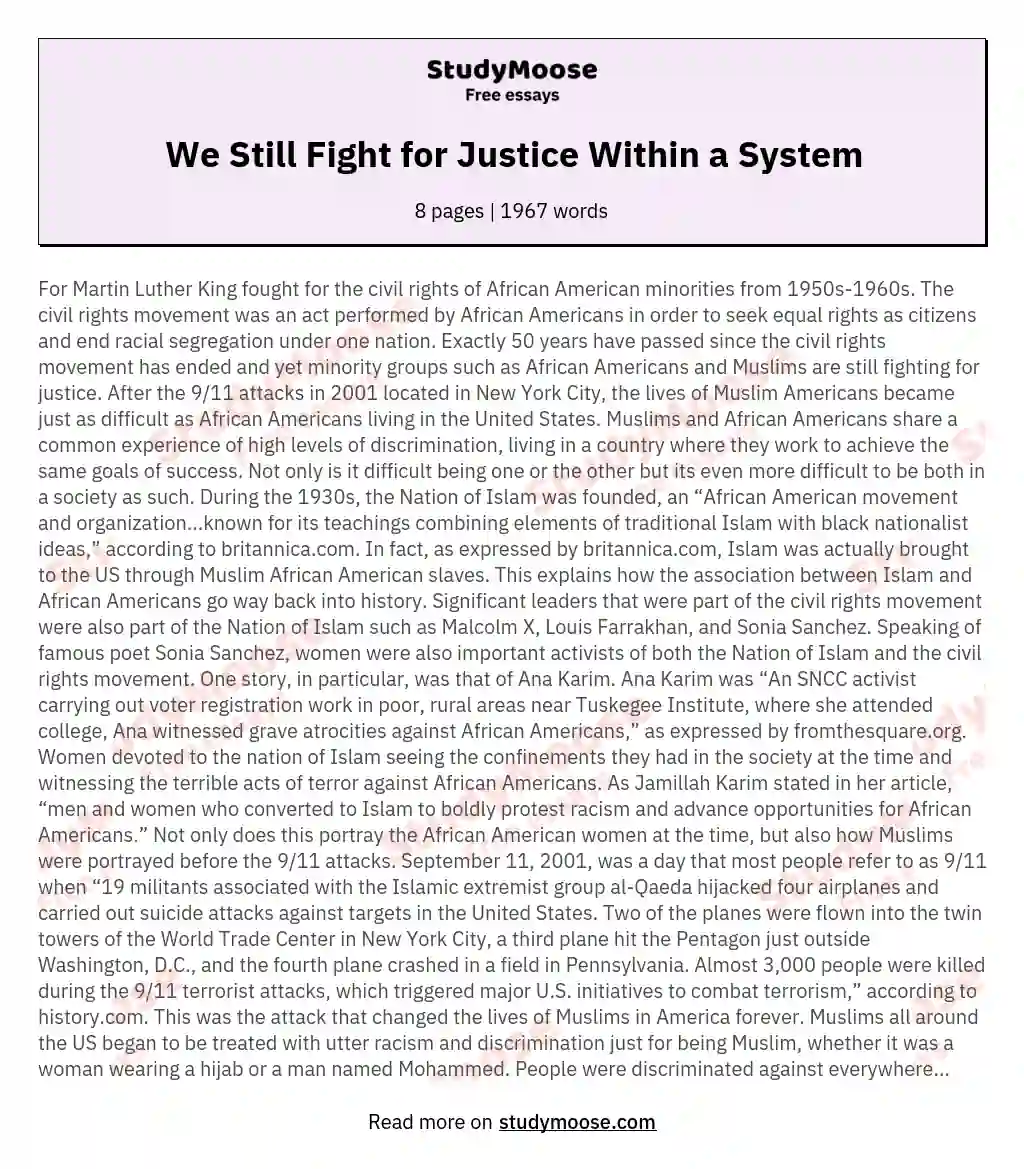 We Still Fight for Justice Within a System essay