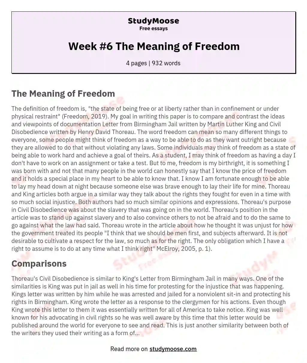 Week #6 The Meaning of Freedom essay