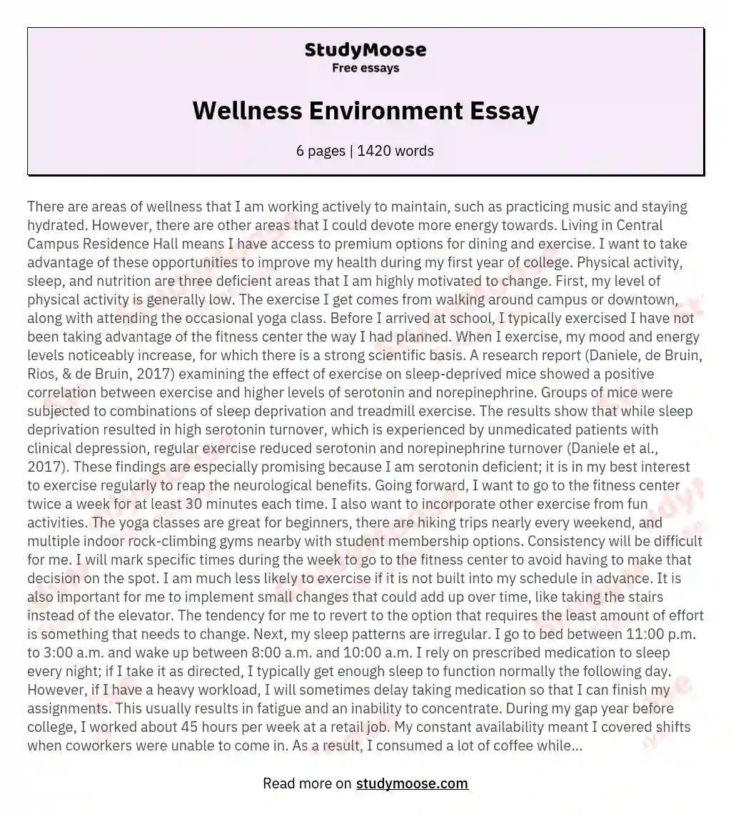 Wellness Environment Essay essay