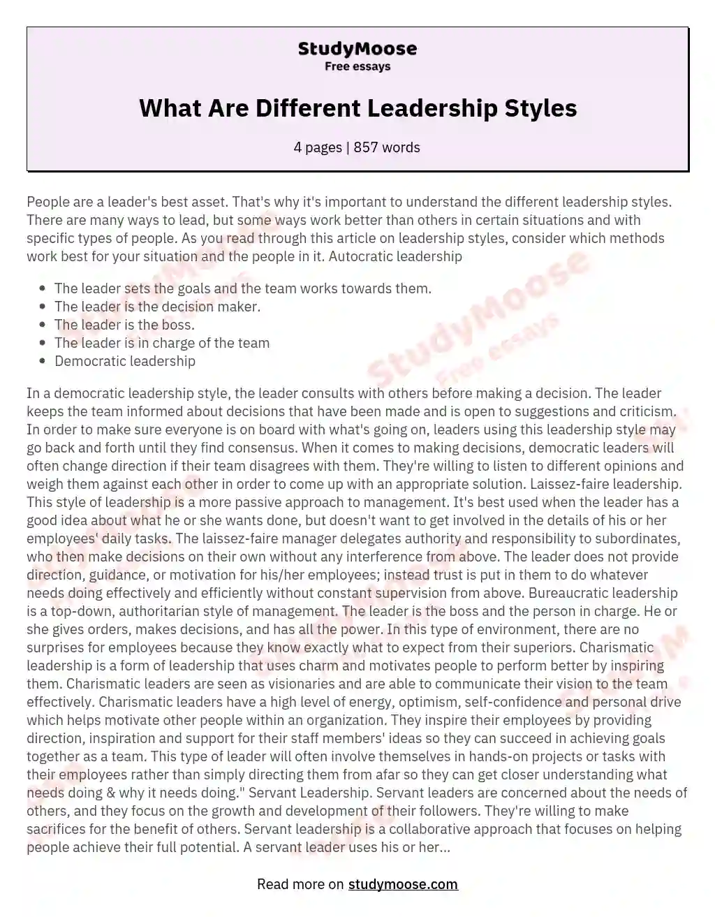 What Are Different Leadership Styles essay