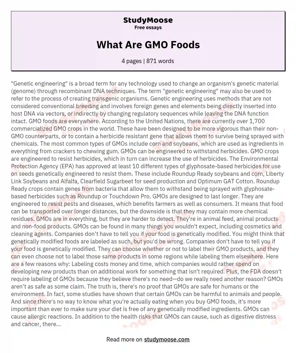 What Are GMO Foods essay