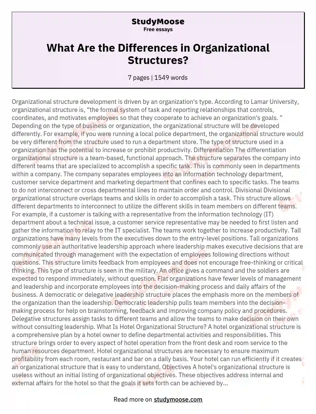 What Are the Differences in Organizational Structures? essay