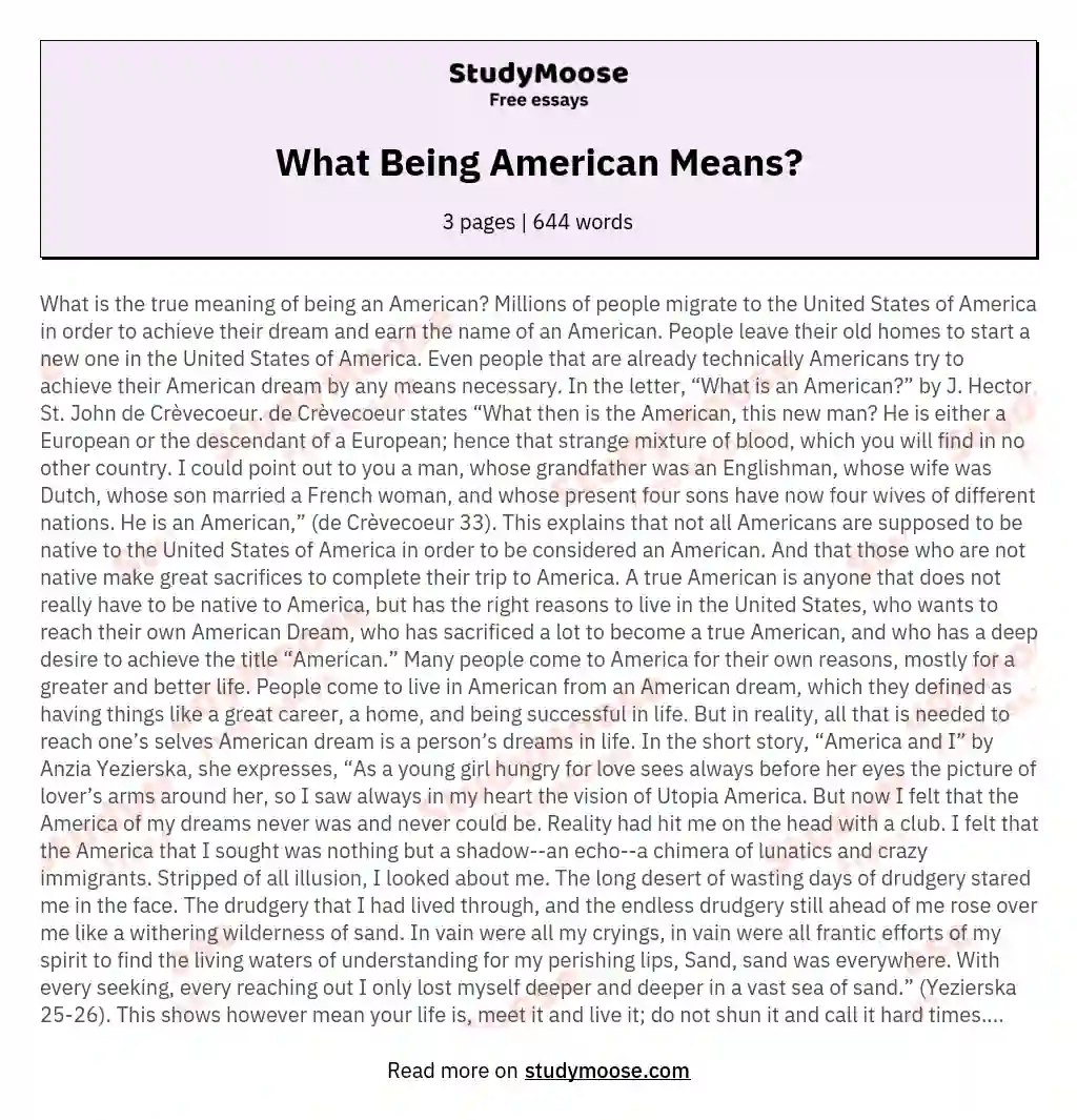 what does america mean to you essay