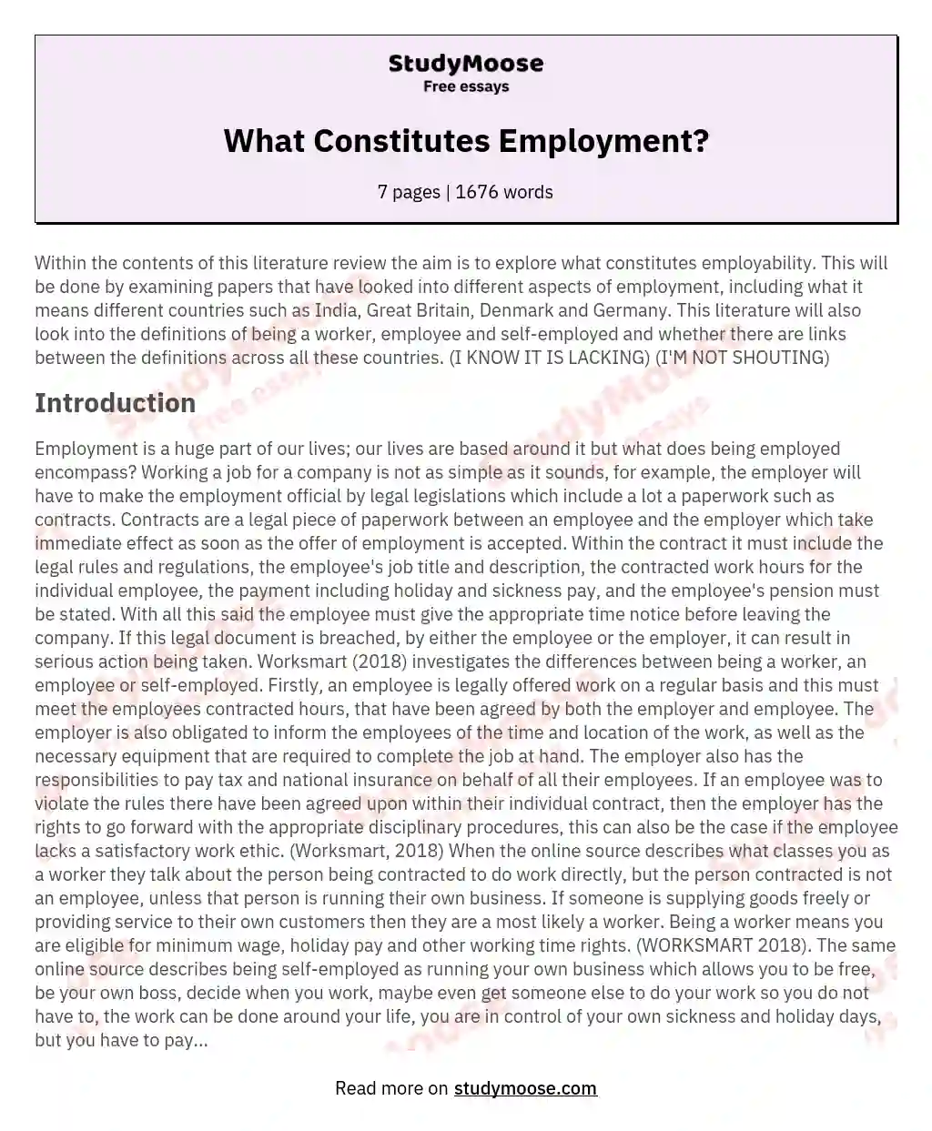 What Constitutes Employment? essay