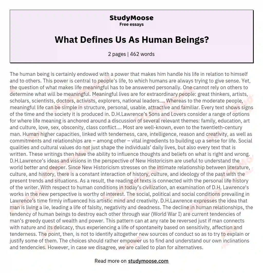 What Defines Us As Human Beings? essay
