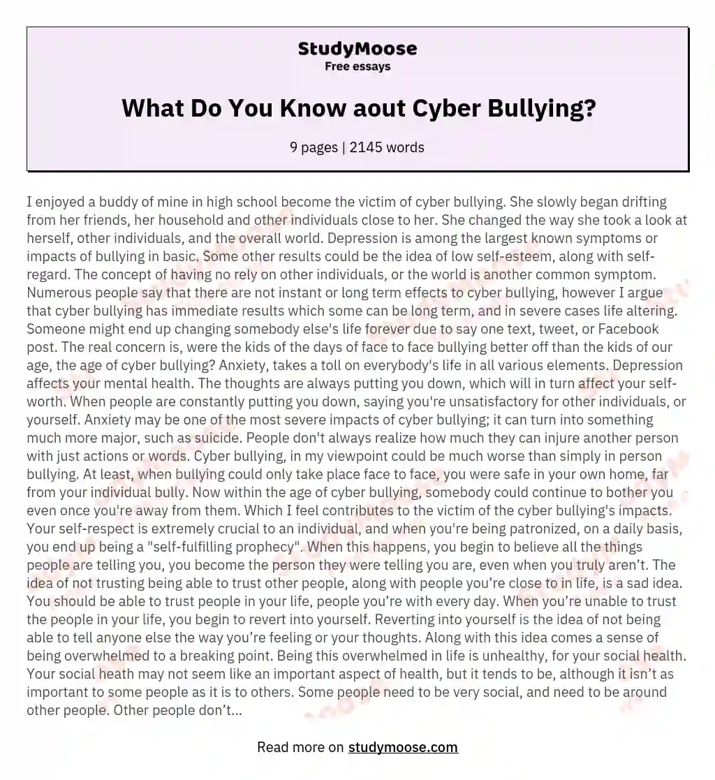 What Do You Know aout Cyber Bullying? essay