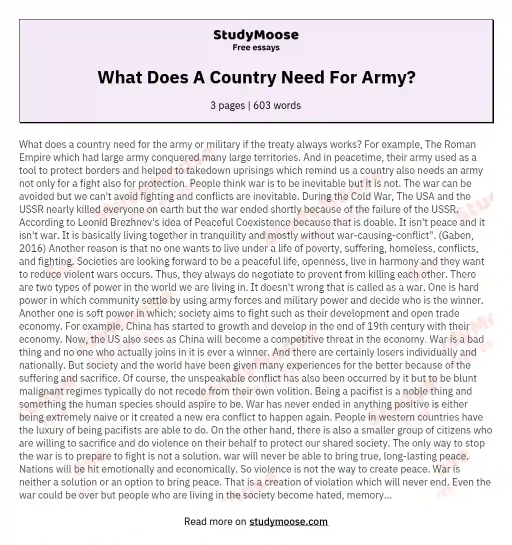 What Does A Country Need For Army? essay