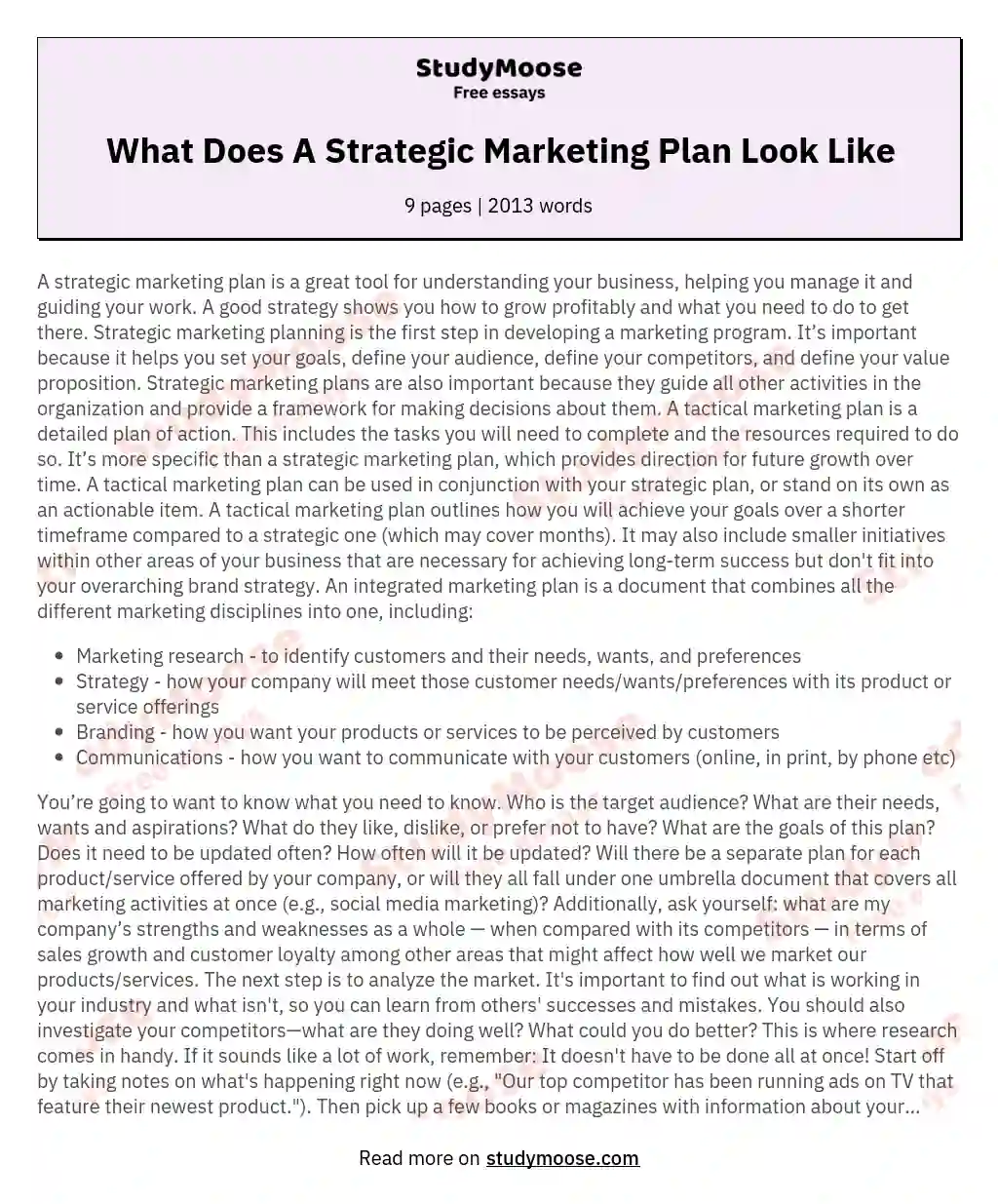 What Does A Strategic Marketing Plan Look Like essay