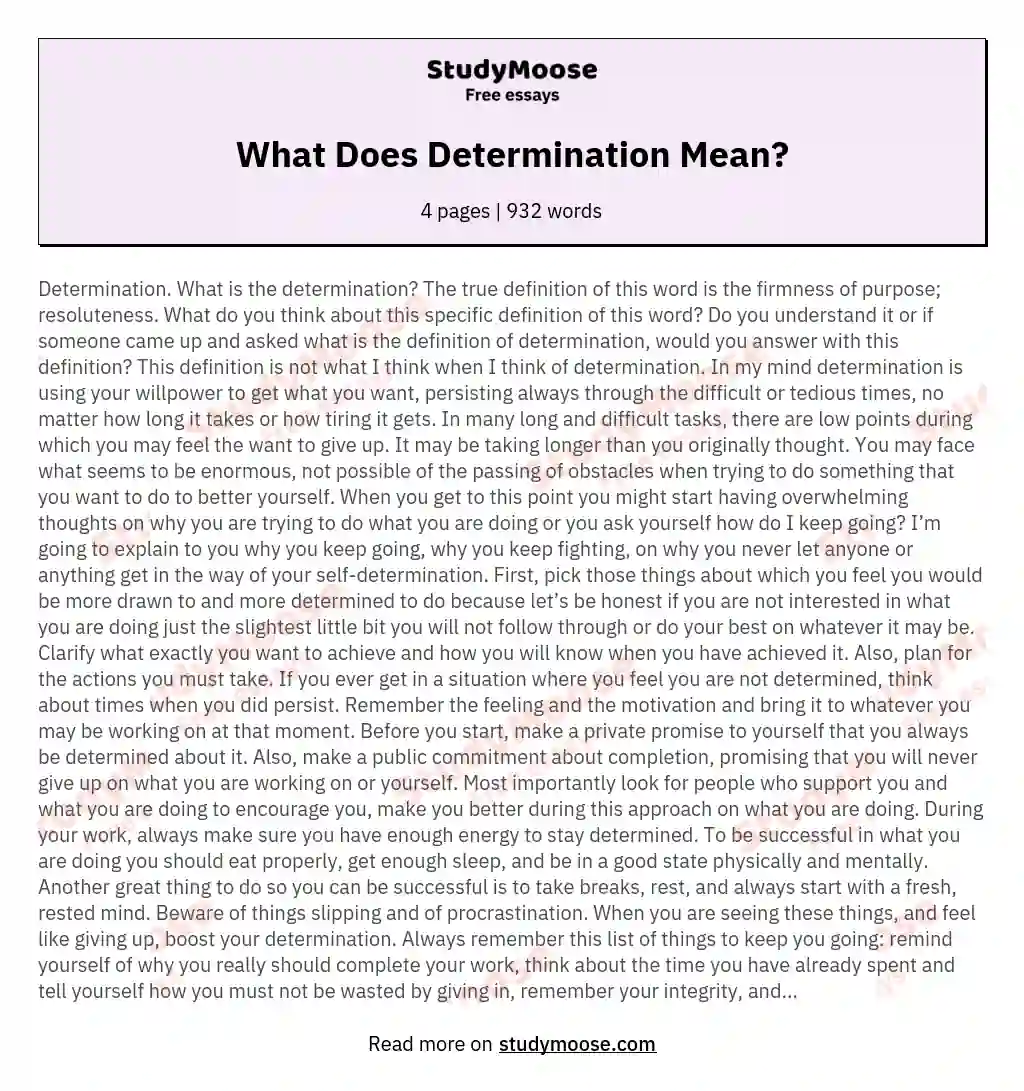 What Does Determination Mean? essay