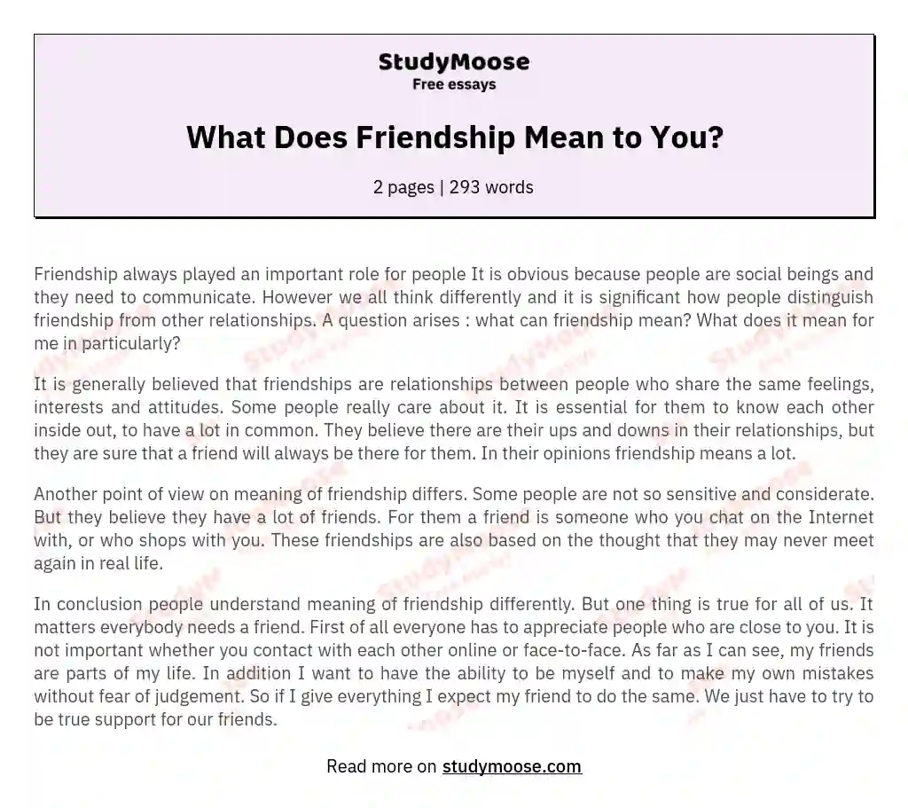 What Does Friendship Mean to You? essay