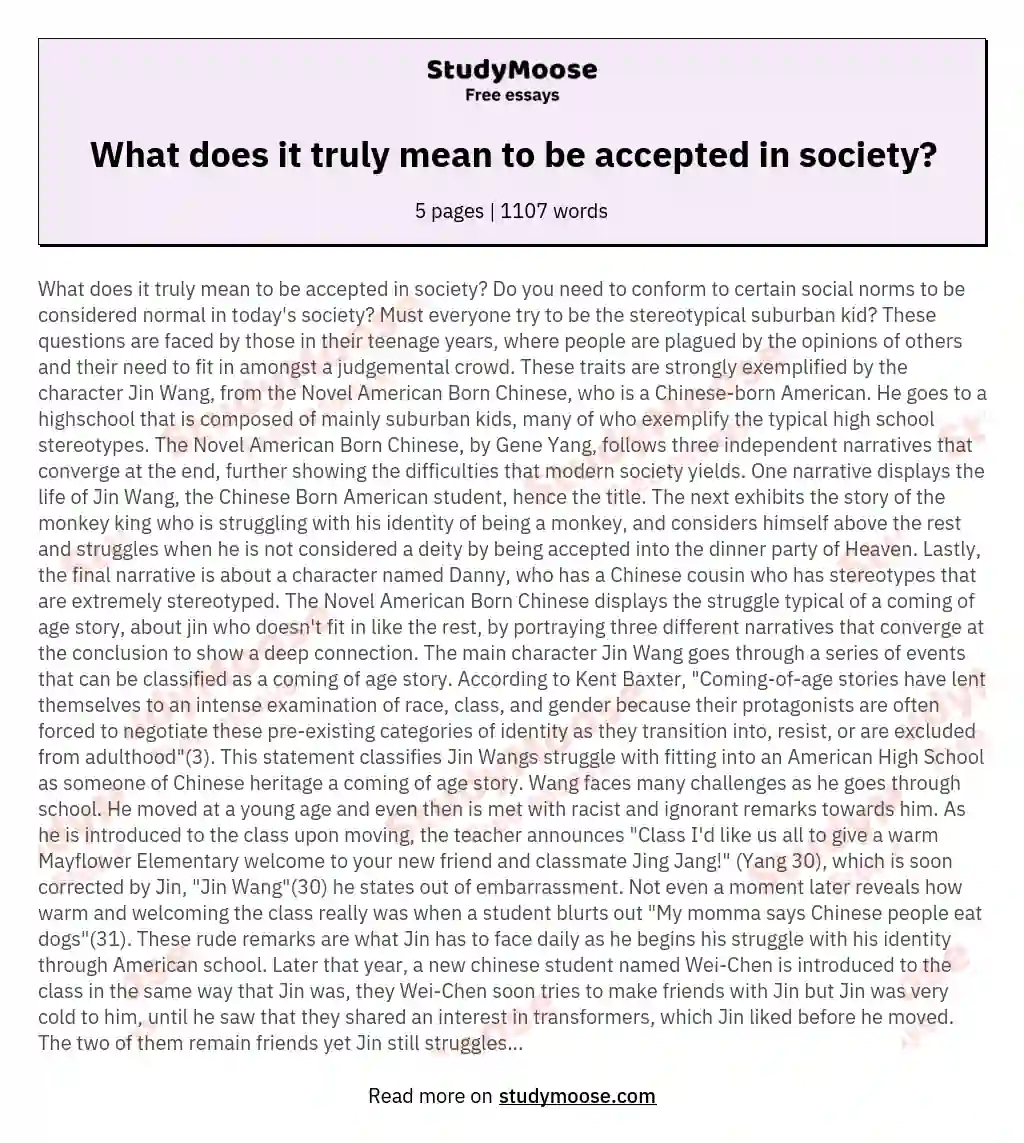 What does it truly mean to be accepted in society? essay