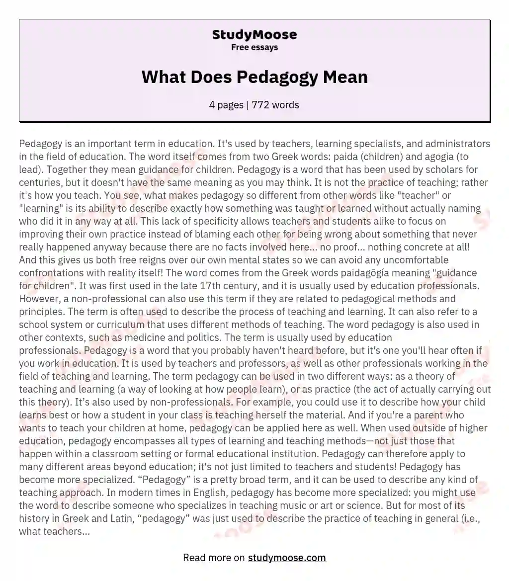 What Does Pedagogy Mean essay