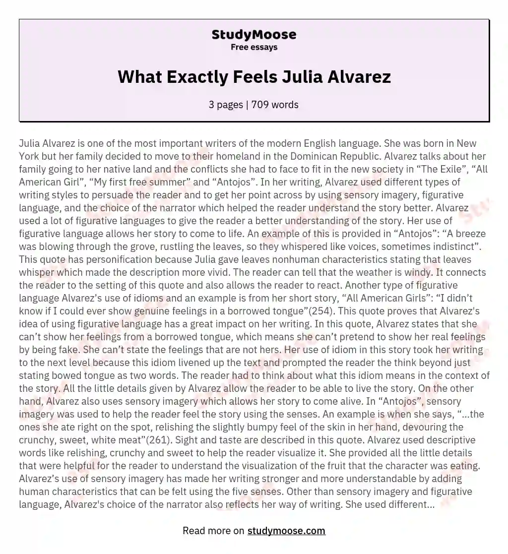 What Exactly Feels Julia Alvarez essay