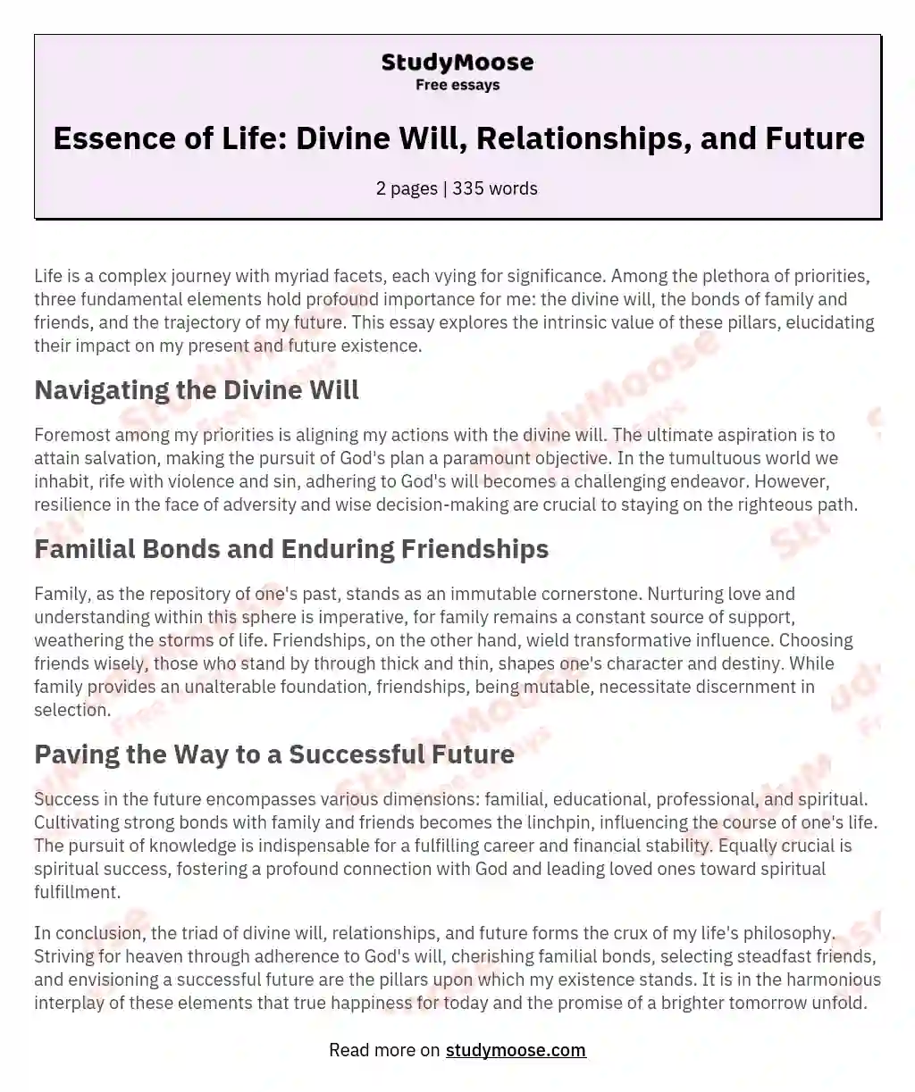 Essence of Life: Divine Will, Relationships, and Future essay