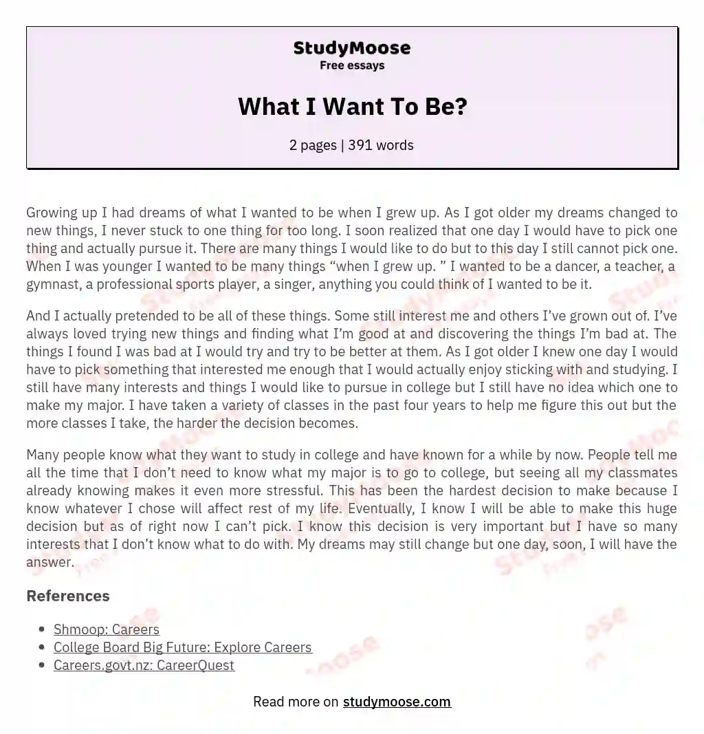 What I Want To Be? essay