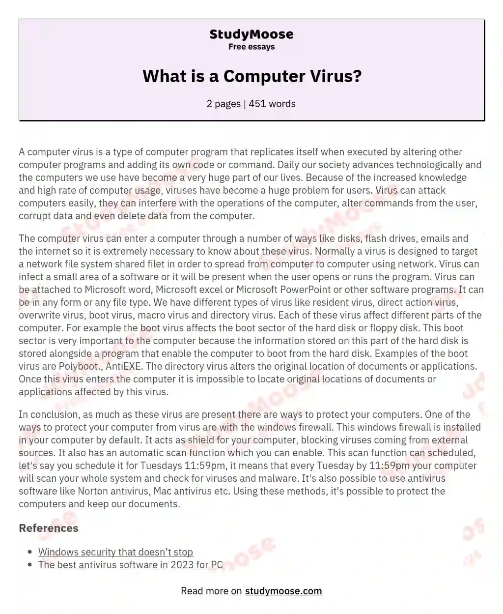 What is a Computer Virus? essay