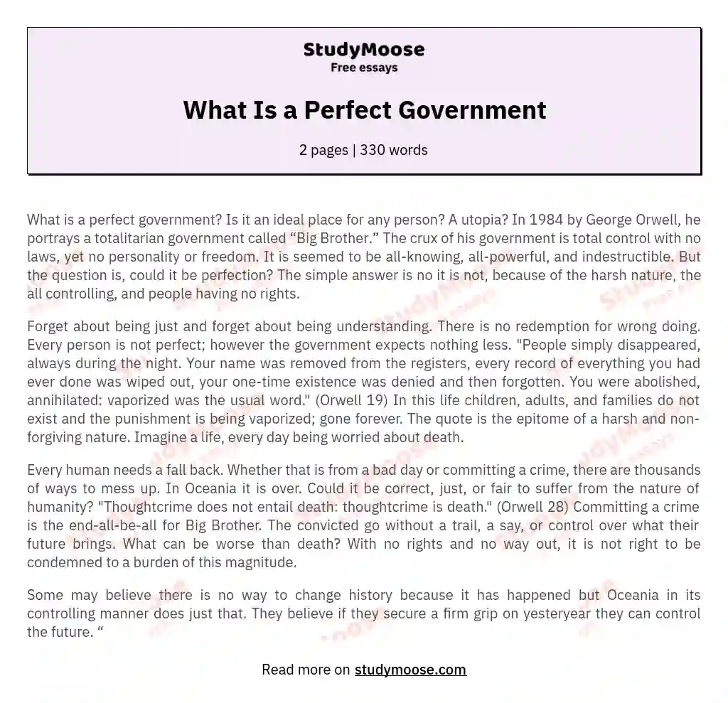 What Is a Perfect Government essay