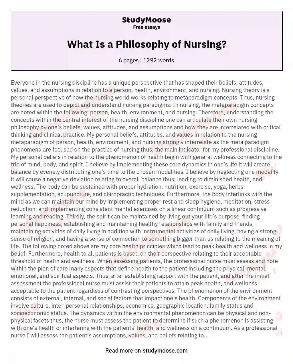 What Is a Philosophy of Nursing? essay
