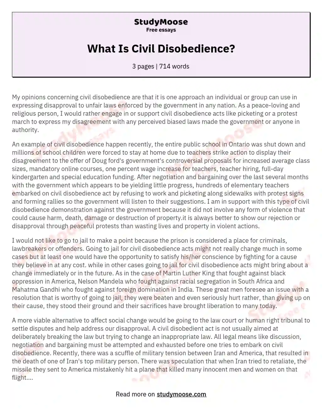 What Is Civil Disobedience? essay