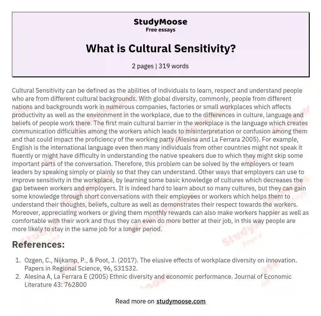 essay about cultural sensitivity