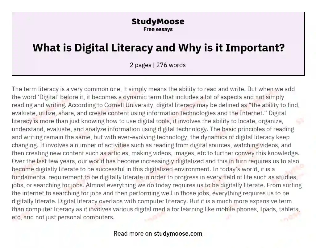 challenges to digital literacy education essay