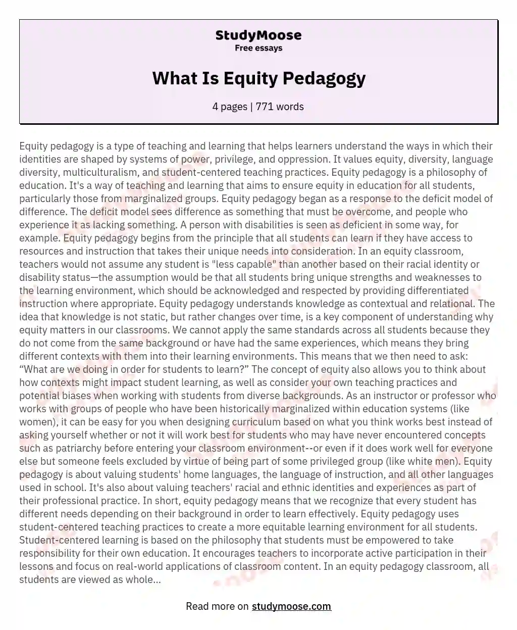 What Is Equity Pedagogy essay