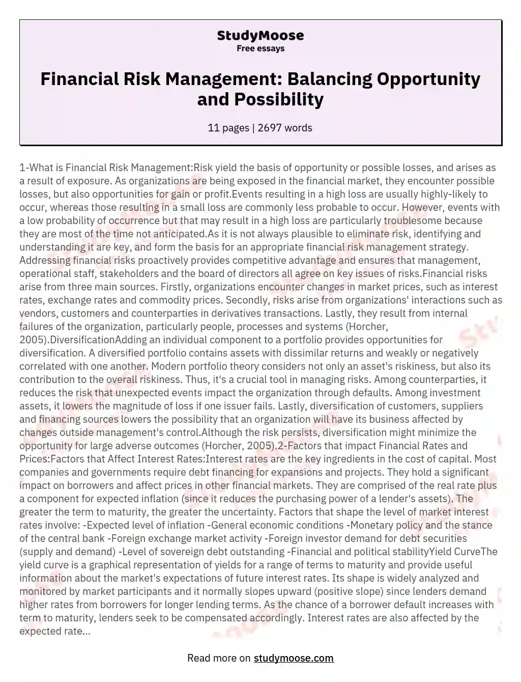 Financial Risk Management: Balancing Opportunity and Possibility essay