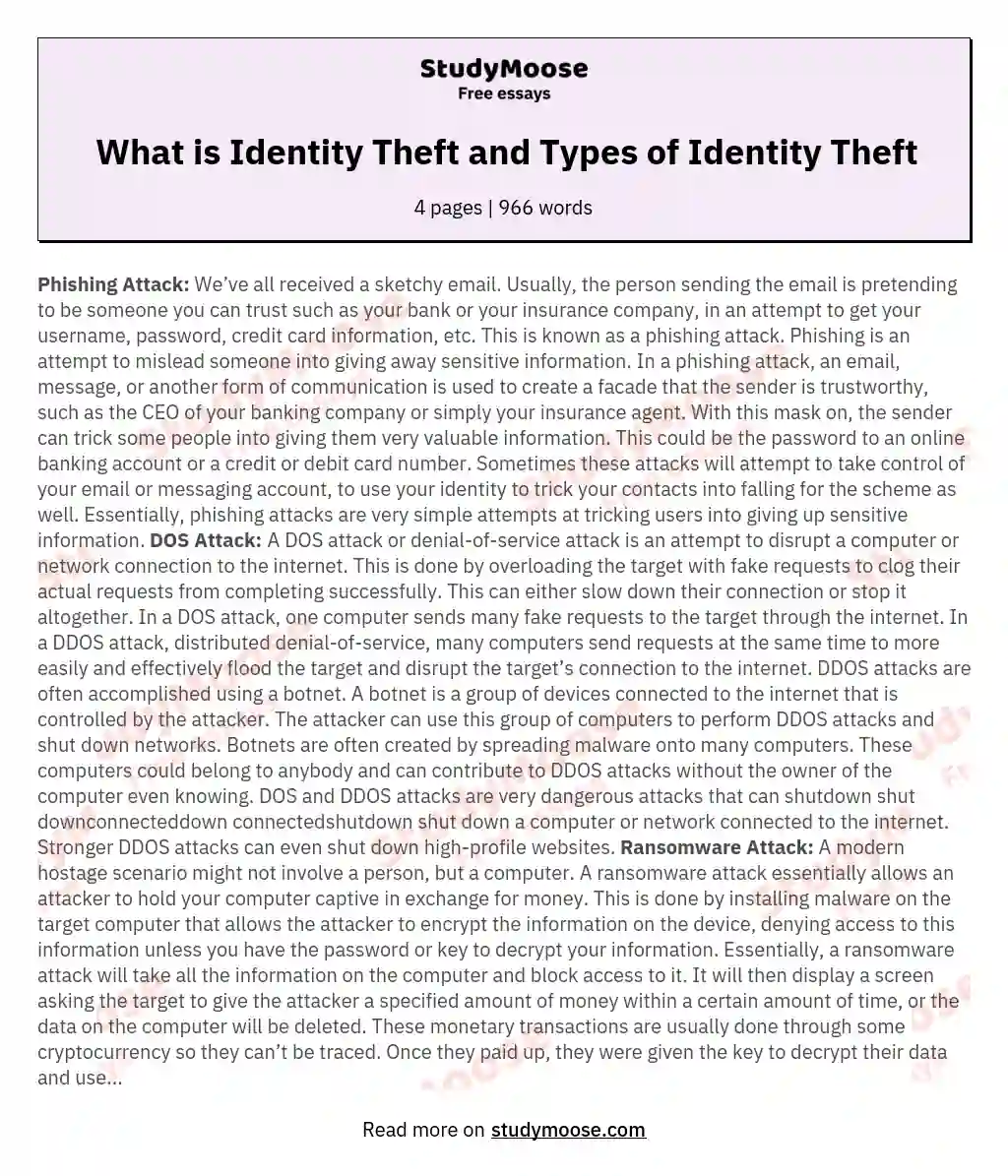 What is Identity Theft and Types of Identity Theft essay