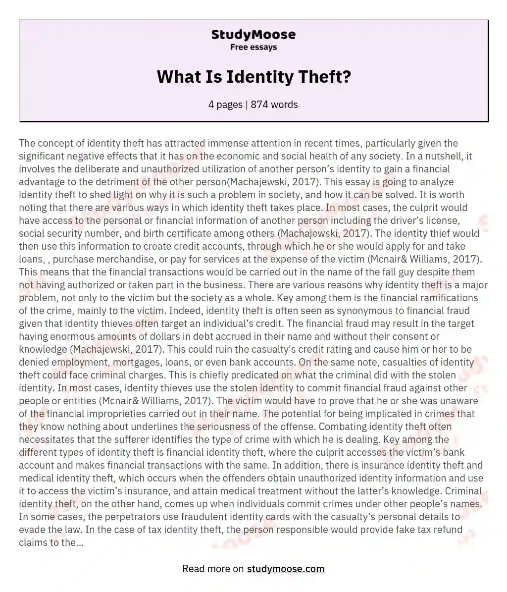 identity theft essay title