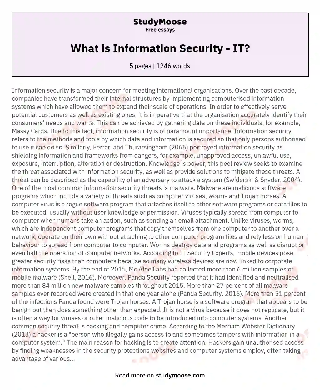 What is Information Security - IT? essay