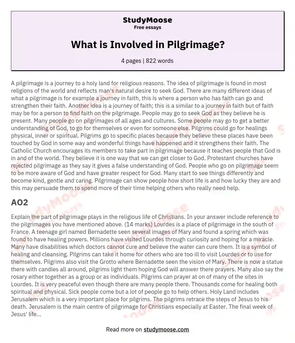 What is Involved in Pilgrimage? essay