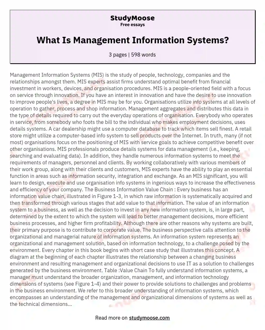 What Is Management Information Systems? essay
