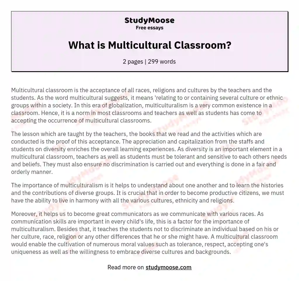 What is Multicultural Classroom? essay