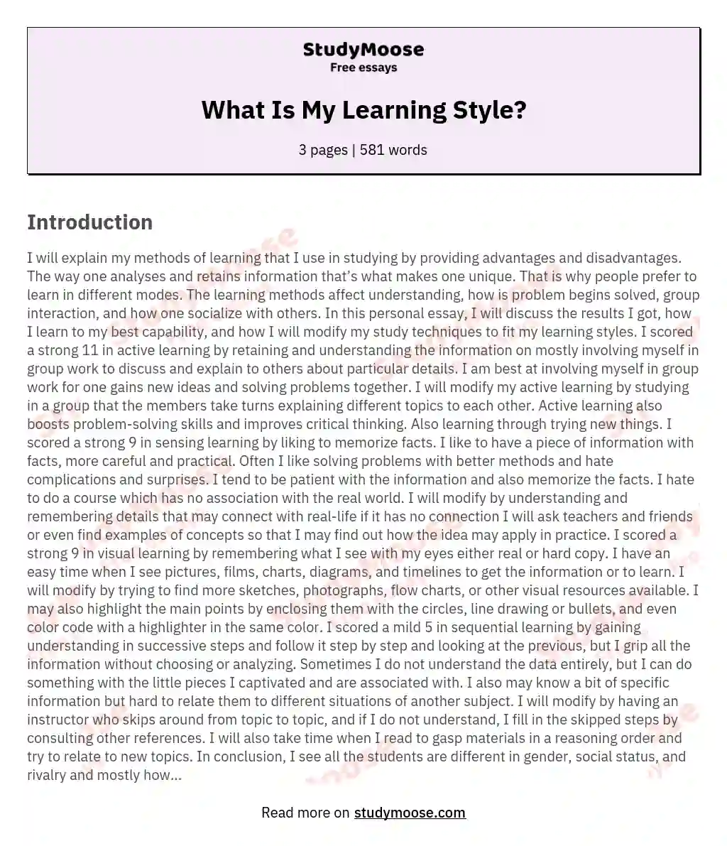 What Is My Learning Style? essay